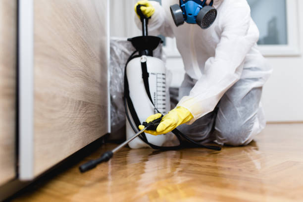 Best Affordable Pest Control Services  in Clearlake Riviera, CA