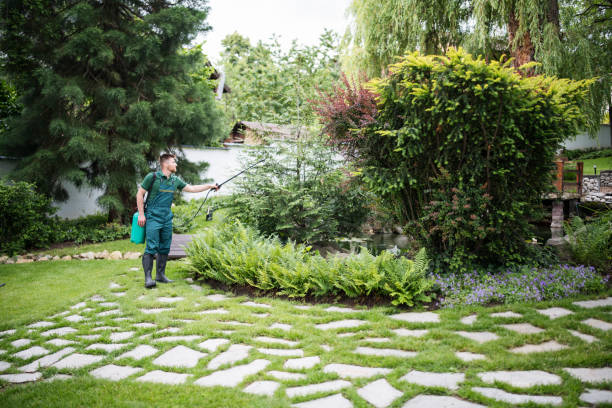 Best Best Pest Control Companies  in Clearlake Riviera, CA