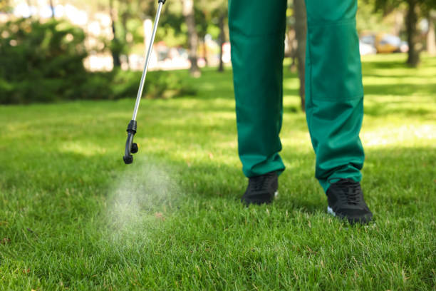 Best Emergency Pest Control  in Clearlake Riviera, CA