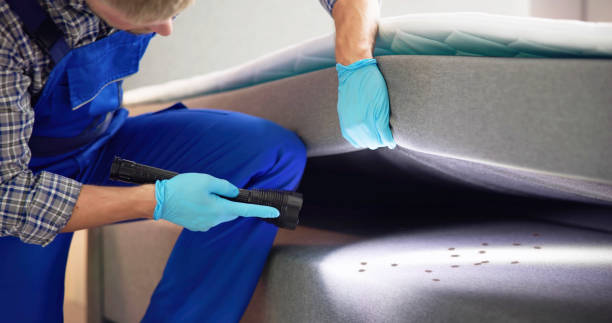 Best Best Pest Control Companies  in Clearlake Riviera, CA