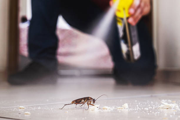 Best Wasp Removal Services  in Clearlake Riviera, CA